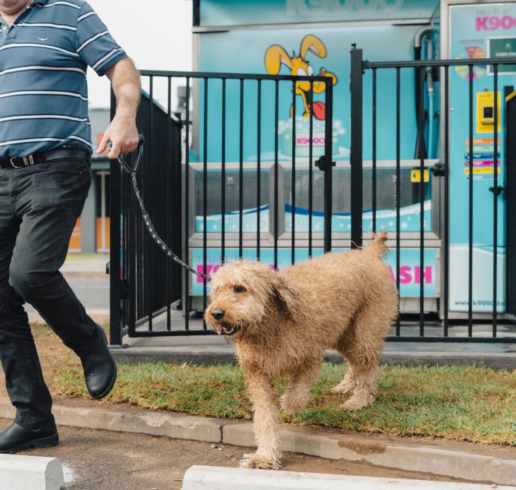 Marionhoteldogwash 79