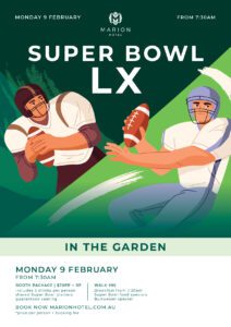 Ma super bowl web